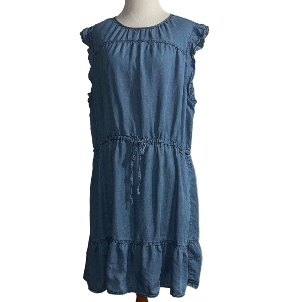 Time and Tru Denim Blue Ruffle Dress With pockets - Picture 4 of 12